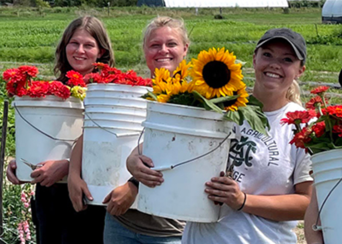 Photo of students working at the MSU student organic farm. 